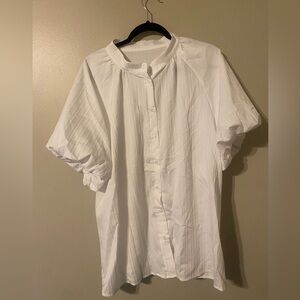 White Collared Shirt
